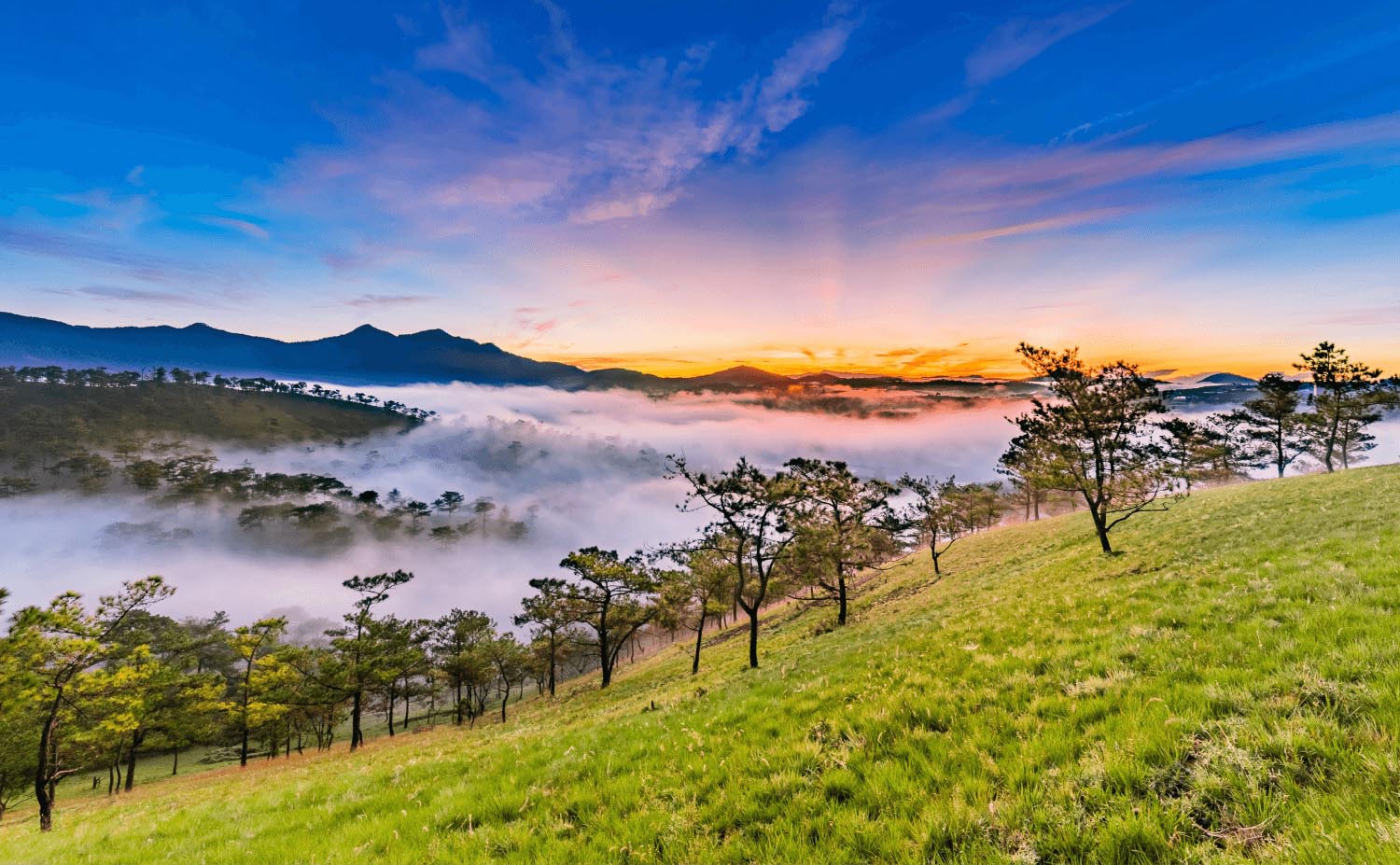 Lễ 02/9: Đà Lạt: Mongo Land - Bảo Tàng Lâm Đồng - Que Garden - Làng Hoa Vạn Thành