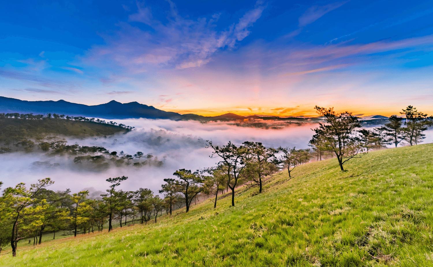 Tết Dương Lịch: Đà Lạt: Mongo Land - Hoa Sơn Điền Trang - Bảo Tàng Lâm Đồng - Que Garden - Làng Hoa Vạn Thành